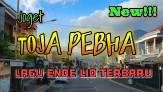 Download lagu TOJA PEBHA || LAGU ENDE LIO TERBARU 2026 ( O/V) mp3