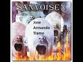 Against The Fears - Sanvoisen