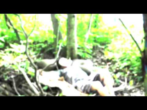 A Mad World, My Masters - Stiff