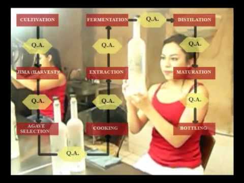 Tequila Semental - The Process of Tequila