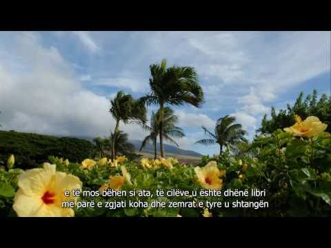 Surja Hadid-Recitim i Mrekullueshëm