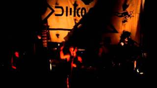 Cockroach - Sleepytime Gorilla Museum: Final LA Show