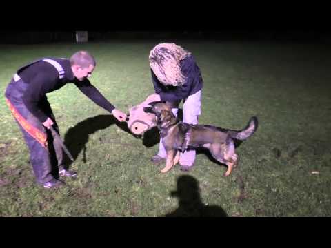 Eschly z Gargamellu protection 7 months