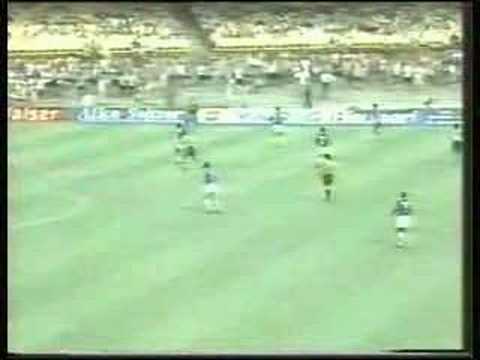 Botafogo x Cruzerio - Semifinal 1995