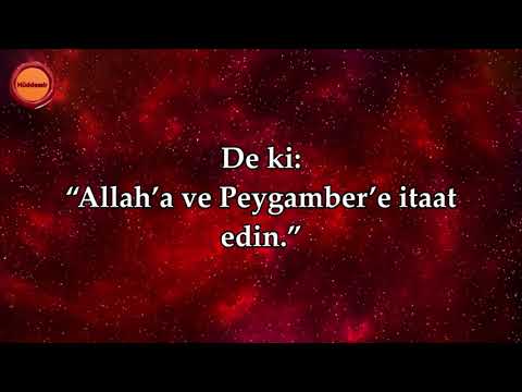 Ali İmran Suresi - Nasser al Qatami