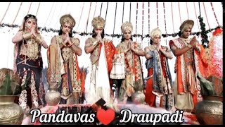 Pandavas love for Draupadi ♥️ marriage and lov