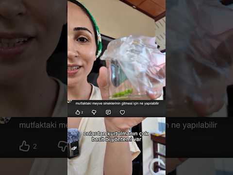 Minik sineklerden kurtulmanın en etkili yolu  🪰