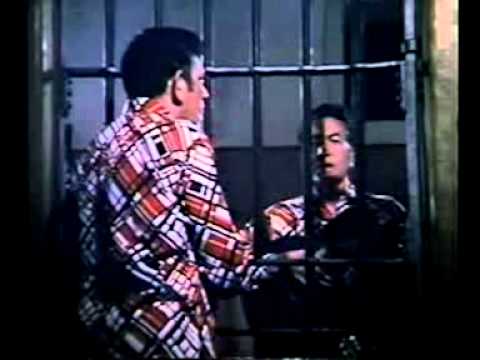 Tonico e Tinoco - Pé de Ipê