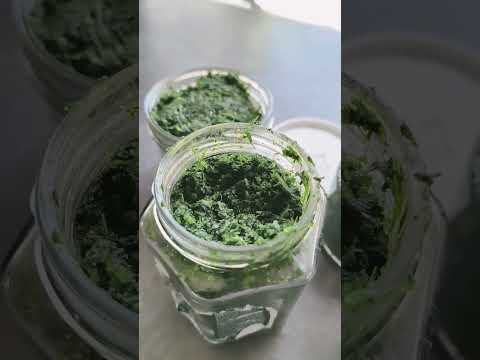 przepis na przyprawę z liści selera #zdrowie #seler