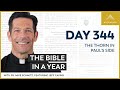 Day 344: The Thorn in Paul's Side — The Bible in a Year (with Fr. Mike Schmitz)