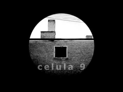 Eugen Iustin Celula 9