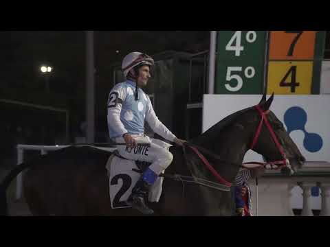 220527 c04 PROFETA DEL SABA