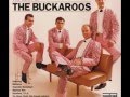 The Buckaroos - You'll Never Miss The Water ('Til The Well Runs Dry)