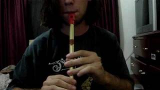 Chip - The Real Mckenzies tin whistle