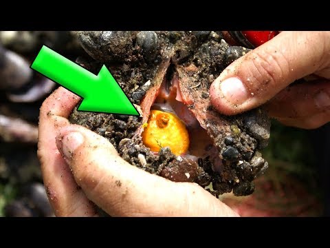 10 Funde - die Menschen zu Millionären machten!