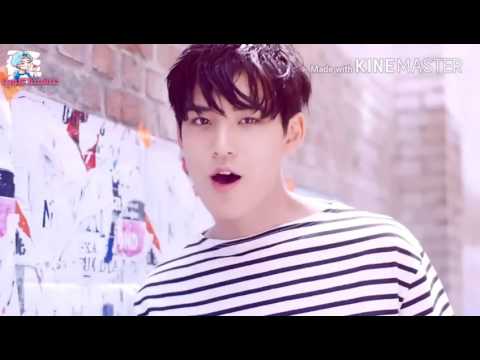 Expectation \ Mingyu \ Seventeen