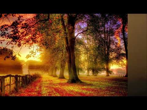 Khúc tháng 9 - Hùng M Nguyễn