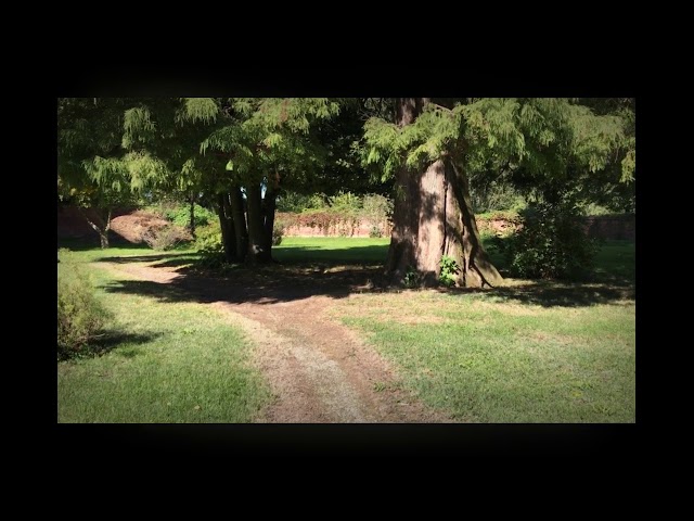 VILLA SALTERIO Moirago