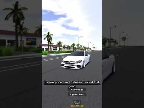 DONT BUY THIS BUT BUY THIS INSTEAD #7 ROBLOX SOUTHWEST FLORIDA