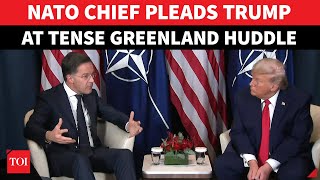 ON CAM: NATO Chief Rutte Begs Trump Amid Greenland Fight; 'Pains Me When You Say Europe Won't...'