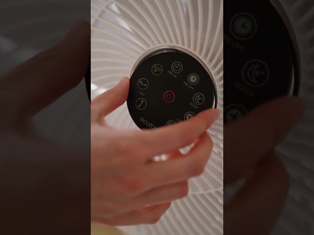 Video Teaser für ecofort ecoQ SilentAir Uno Test von Regula: leiser Ventilator für Zuhause & Küche