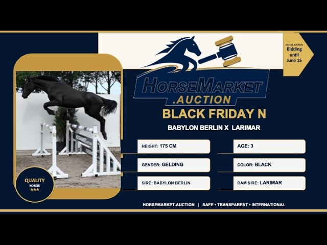 Black Friday N