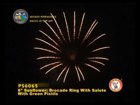 SB150OT10 - 6 INCH SHELL - WIZARD FIREWORKS - PS6065