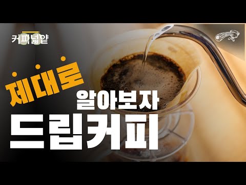 커피의 매력 속으로: 원두의 종류와 맛의 차이