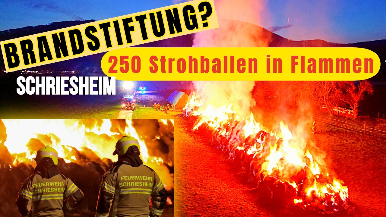 250 Strohballen bei Schriesheim in Flammen - Feuerwehr rechnet mit einem 12-stündigen Einsatz