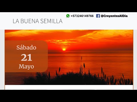 El Amigo de todos |Lucas 7:34 - Juan 4:42| Reflexión Diaria La Buena Semilla