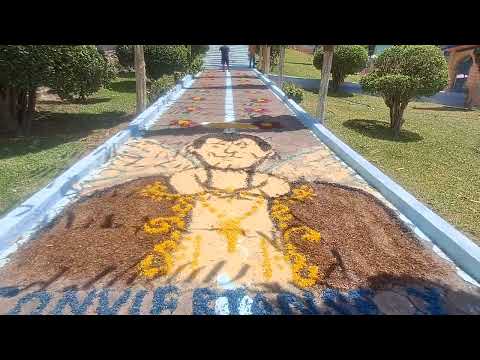 Procesión en honor a San Vicente Ferrer// Jóvenes de fe// Tlalixtaquilla Gro 2026