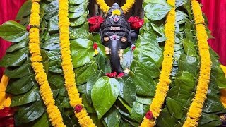 Om Gum Ganapati ya Namaha 🙏hi hellow 👋 friends ala vunnaru na veedios ni chusthunnara please like 👍😊