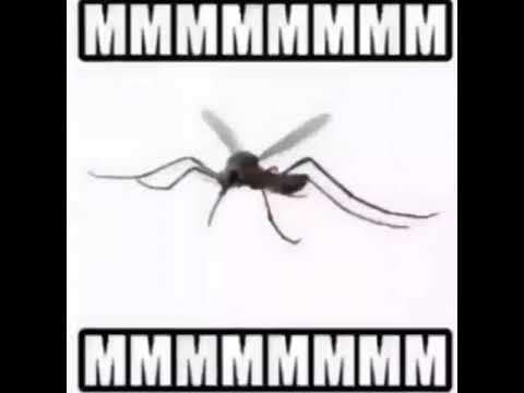 MMMMMMMM