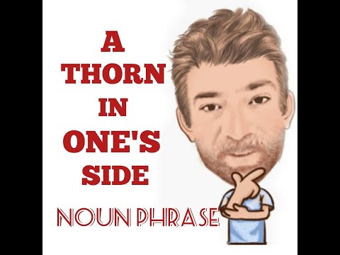 English Tutor Nick P Noun Phrase (279) A Thorn in One's Side - Origin