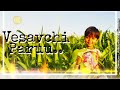 Vesavchi Paroo