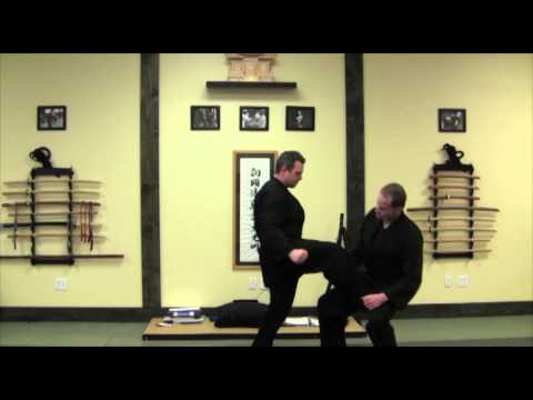 Hida (飛打) “Flying Strike” | Koto Ryu Koppojutsu (虎倒流骨法術)