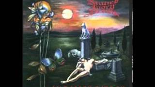 Niobes Ivory Dream - My Fallen Garden