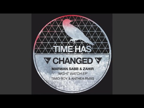 Night Watch (Anthea Remix)