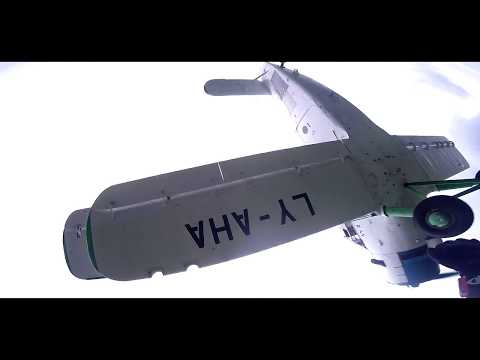 Have you ever wondered why birds sing ? Slow motion Skydiving