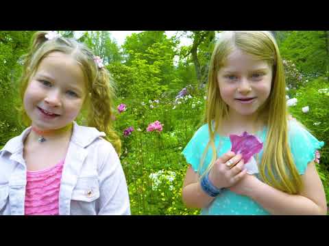 Schwiizer Kiddies - Fly With Me, kleiner Schmetterling
