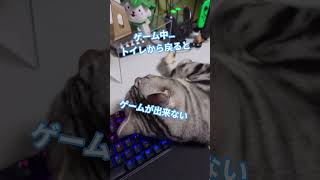 #猫#cat #ゲームが出来ない