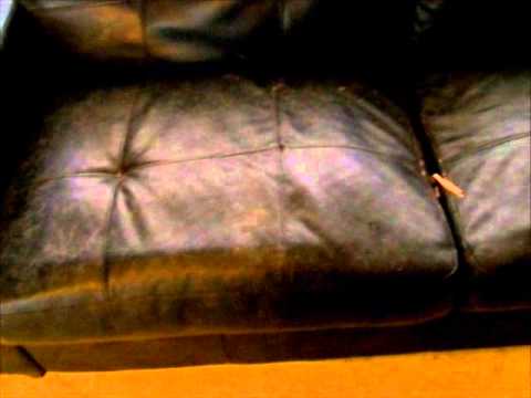 Cuties - Vloguary! - February 3~4, 2013