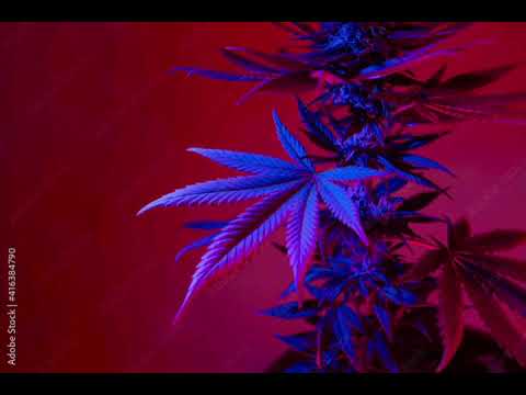 Lil Eye-N-$tine - Trippy People