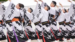 藍なり 『SIRIUS～燃ゆる想ひ～』📍ふくのやまよさこい (中央公園) 2025-10-26T14:32