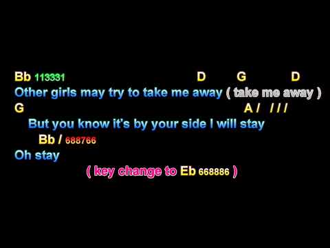Glad All Over - The Searchers
