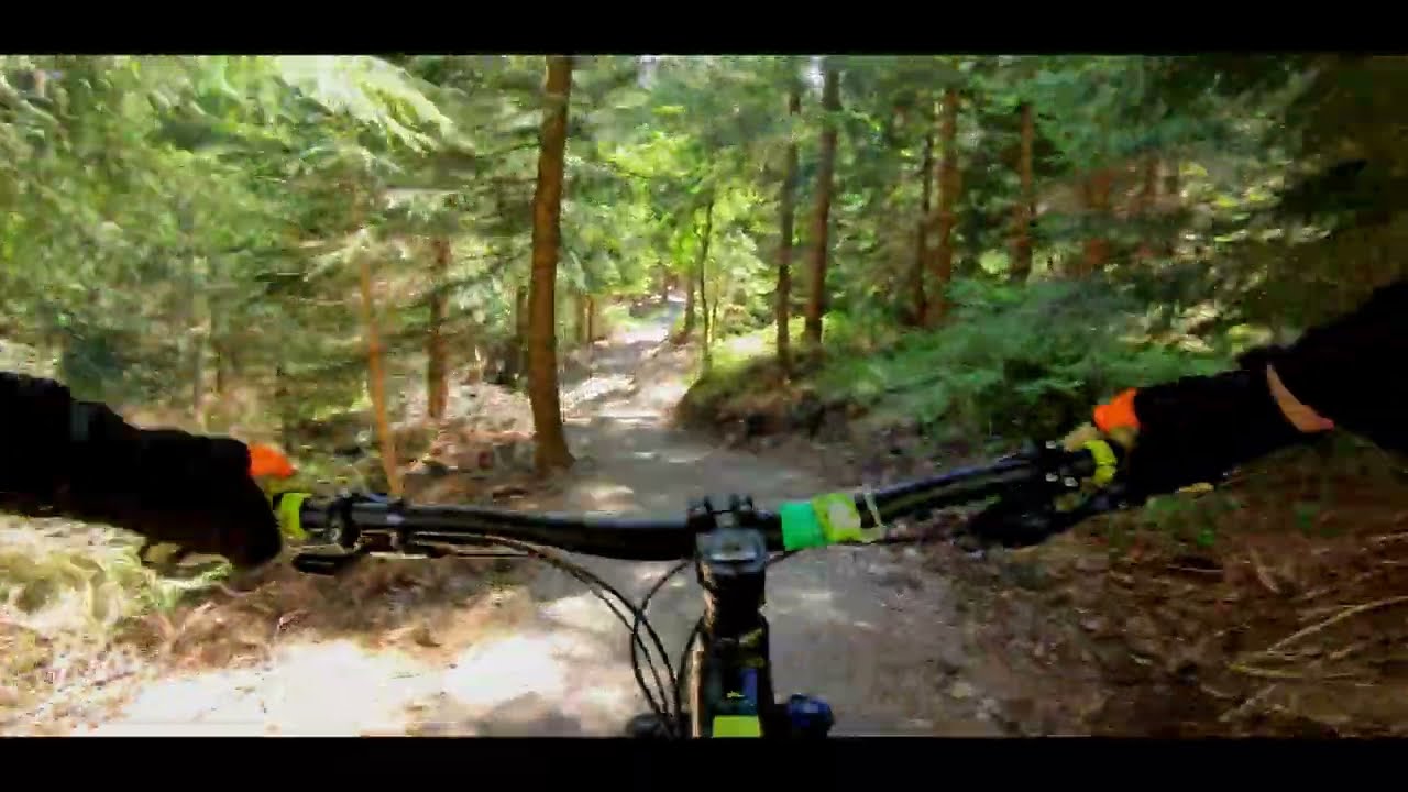 Bike parki na hardtailu miejscówka 3 Zieleniec Maja Travels