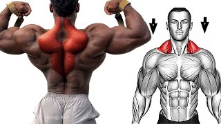8 BEST TRAPEZIUS EXERCISES | HUGE TRAPS