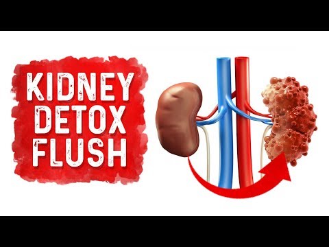 The Top SUPERFOODS for the Kidneys—Explained by Dr Berg