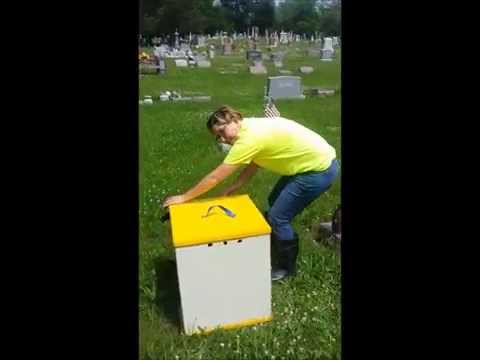 Release of Turkey Vulture
