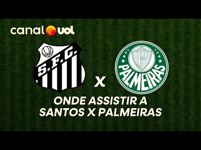Jogo do Santos hoje pelo Brasileirão: que horas começa e onde assistir
